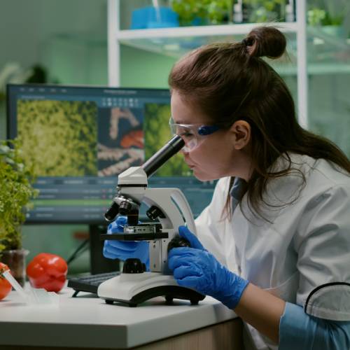 THE FACTS THAT MATTER